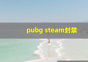 pubg steam封禁